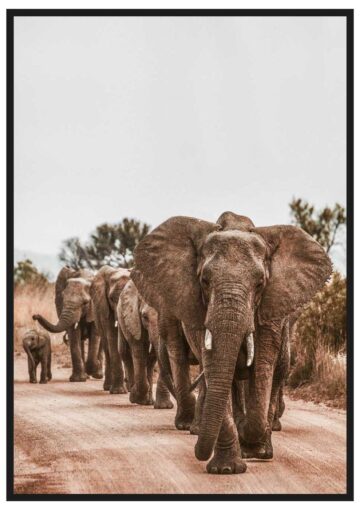 Brun djurtavla elefanter