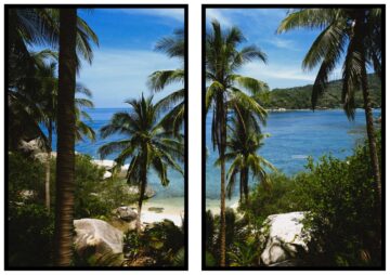Exotisk strand med palmer poster