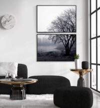 vacker-naturbild-svartvita-posters