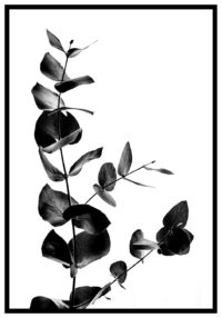 botanisk-affisch-blad